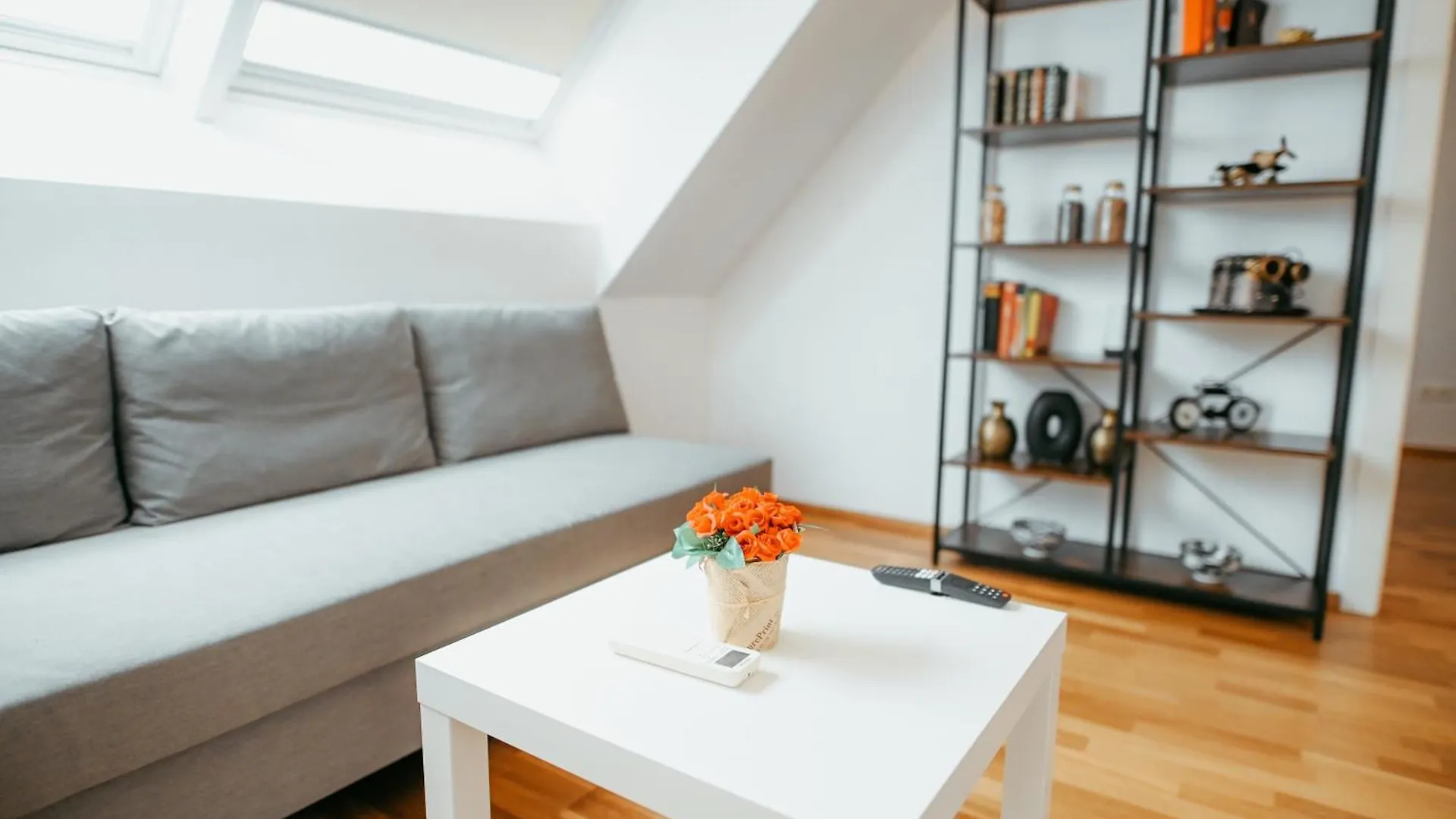 Danube Rooftop Apartment 15 Vienna